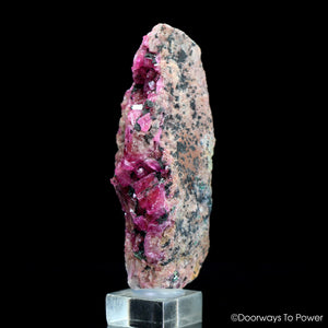 Cobalto Calcite Pink Druzy Crystal Specimen Congo A+++