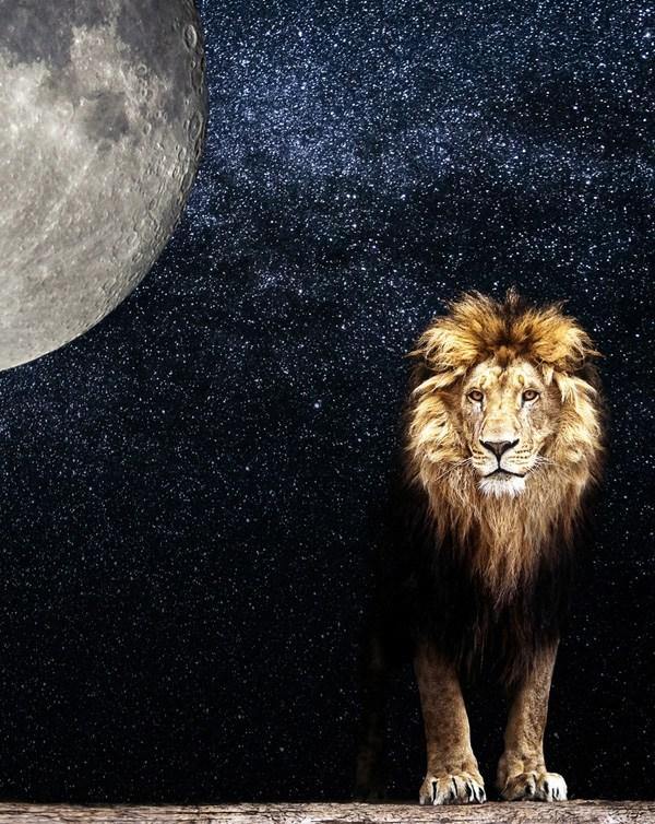 Moldavite Tektite Hand Carved Lions Head  'Museum Quality'