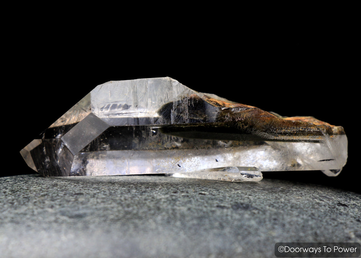 Brookite in Natural Quartz Record Keepers Dolphin Crystal Rare Synergy 12 Stone