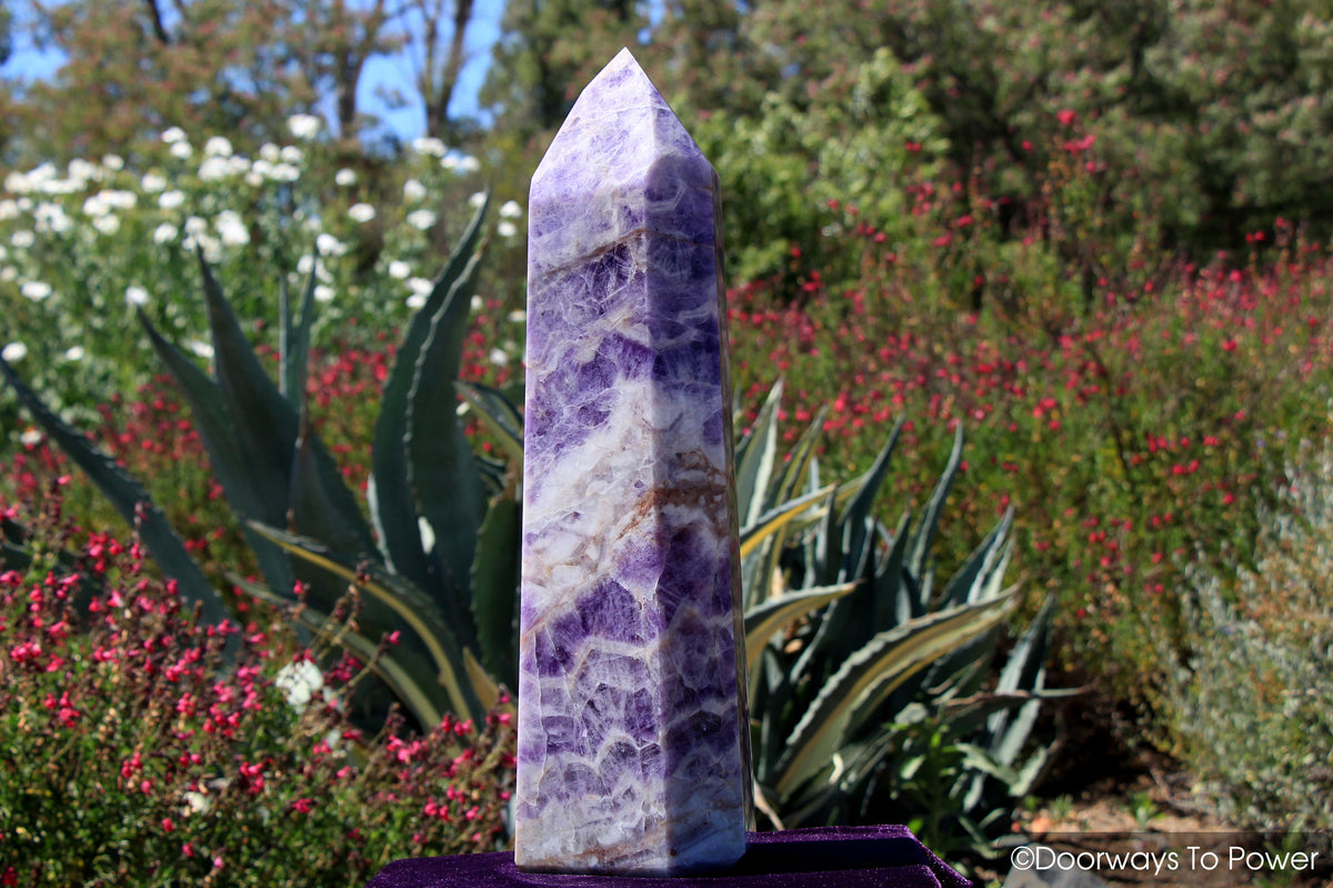 John of God Amethyst Casa Crystal & Temple Heart Dow 'Violet Defender' Massive 26 lbs 'Collectors Quality'