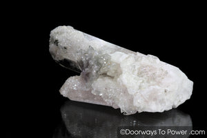 Danburite Twin Record Keeper Crystal | Covered in Druzy Crystals