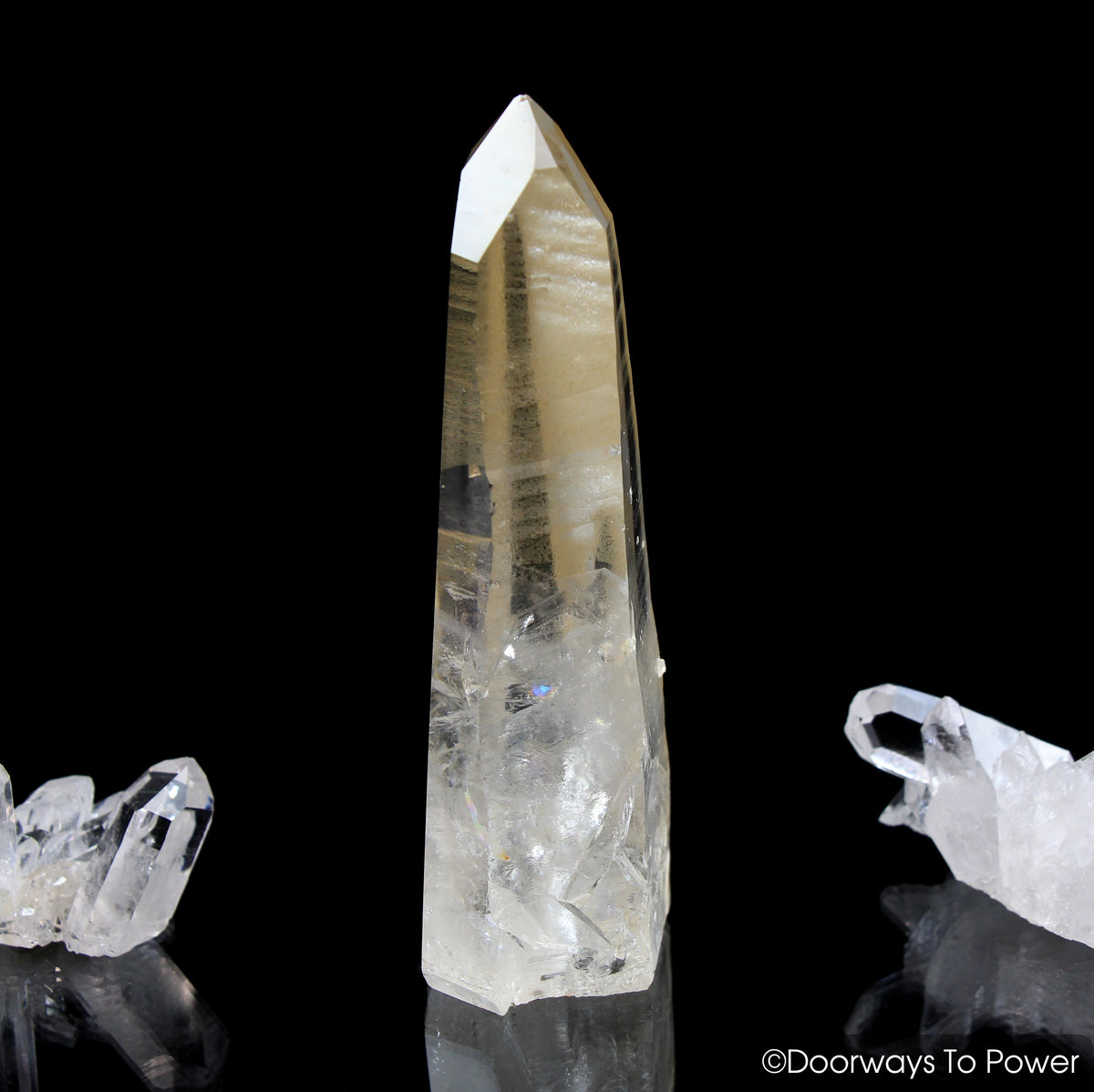 Golden Healer Lemurian Seed Pleiadian Starbrary Record Keeper Dolphin Crystal