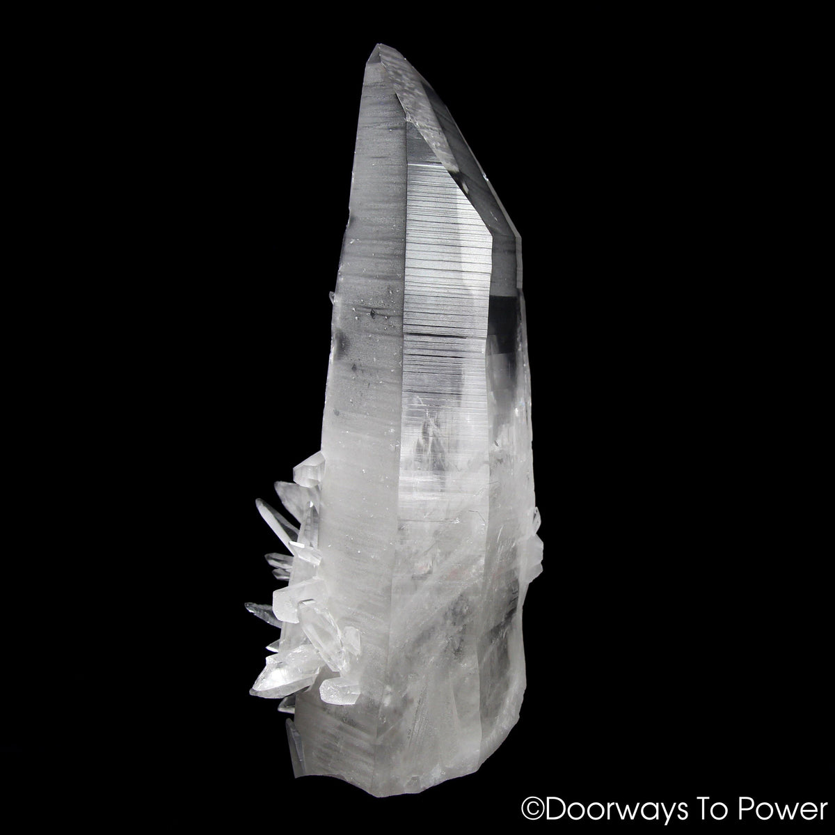 Lemurian Star Seed Quartz Crystal Record Keeper 