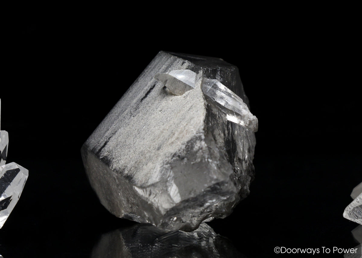 Smoky Black Phantom Lemurian Quartz Inner Child Crystal