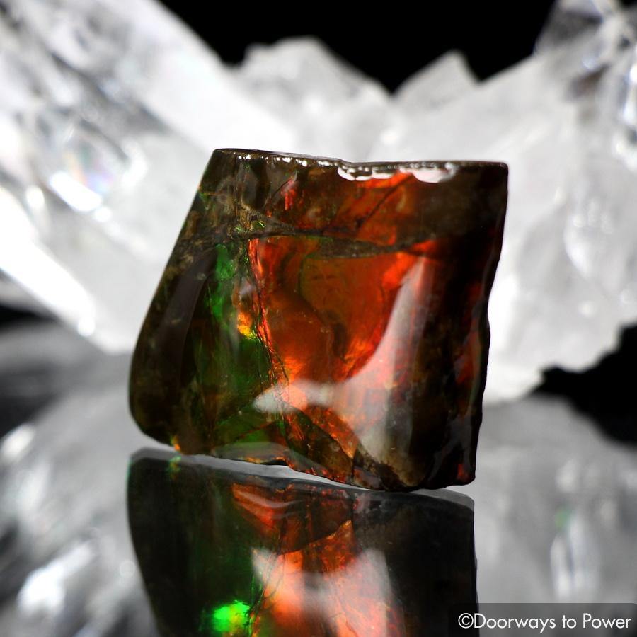 Ammolite Cabochon Gem Crystal