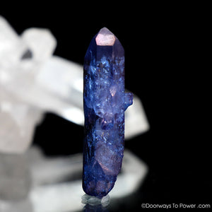 Tanzine Aura Himalayan Quartz Record Keeper Twin Crystal