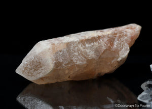 Tangerine Dreamsicle Lemurian Quartz Crystal Record Keeper 