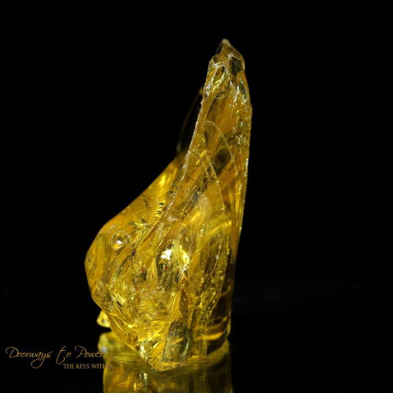 Dynamic Helidor Andara Mt Shasta California 