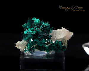 Dioptase & Quartz Mineral Specimen