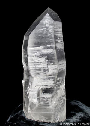 Black Lemurian Seed Phantom Quartz Record Keeper Crystal 