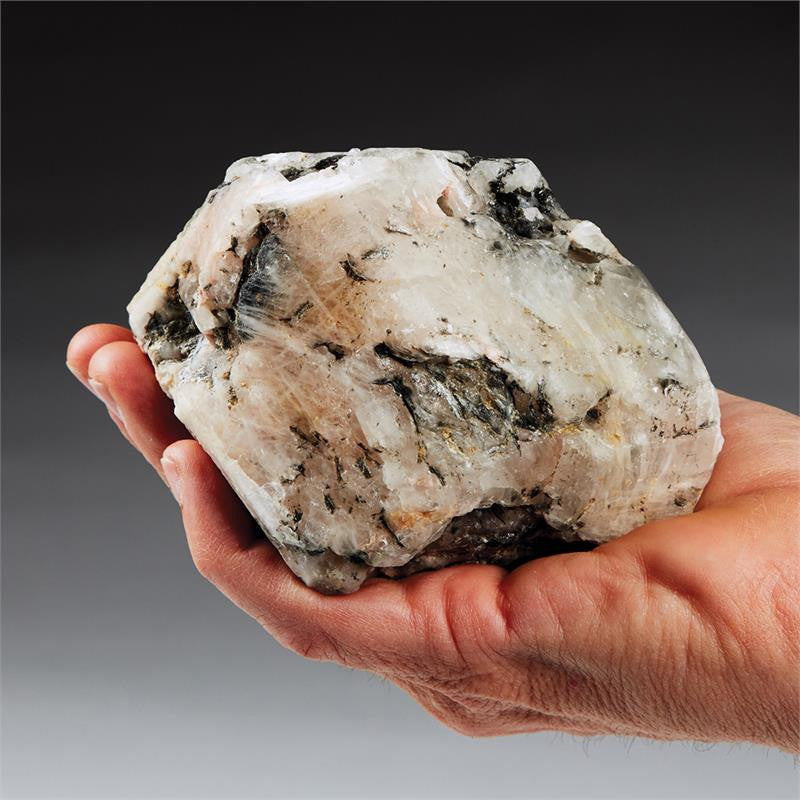 Azozeo Phenacite Synergy 12 Crystal Anchor of Light  'Museum Quality' (Very Rare)