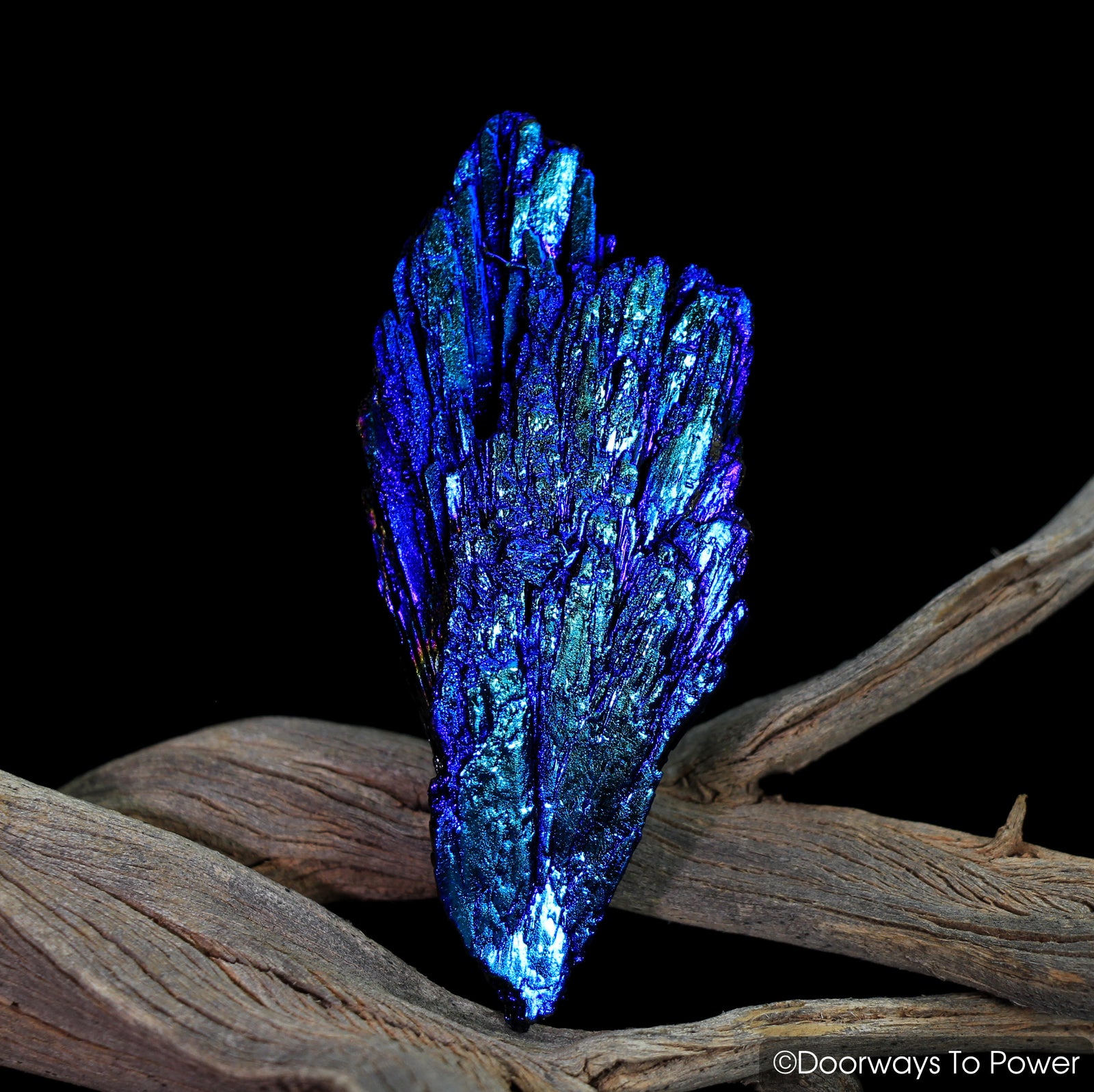 Black Kyanite Aura Angel Wing Crystal