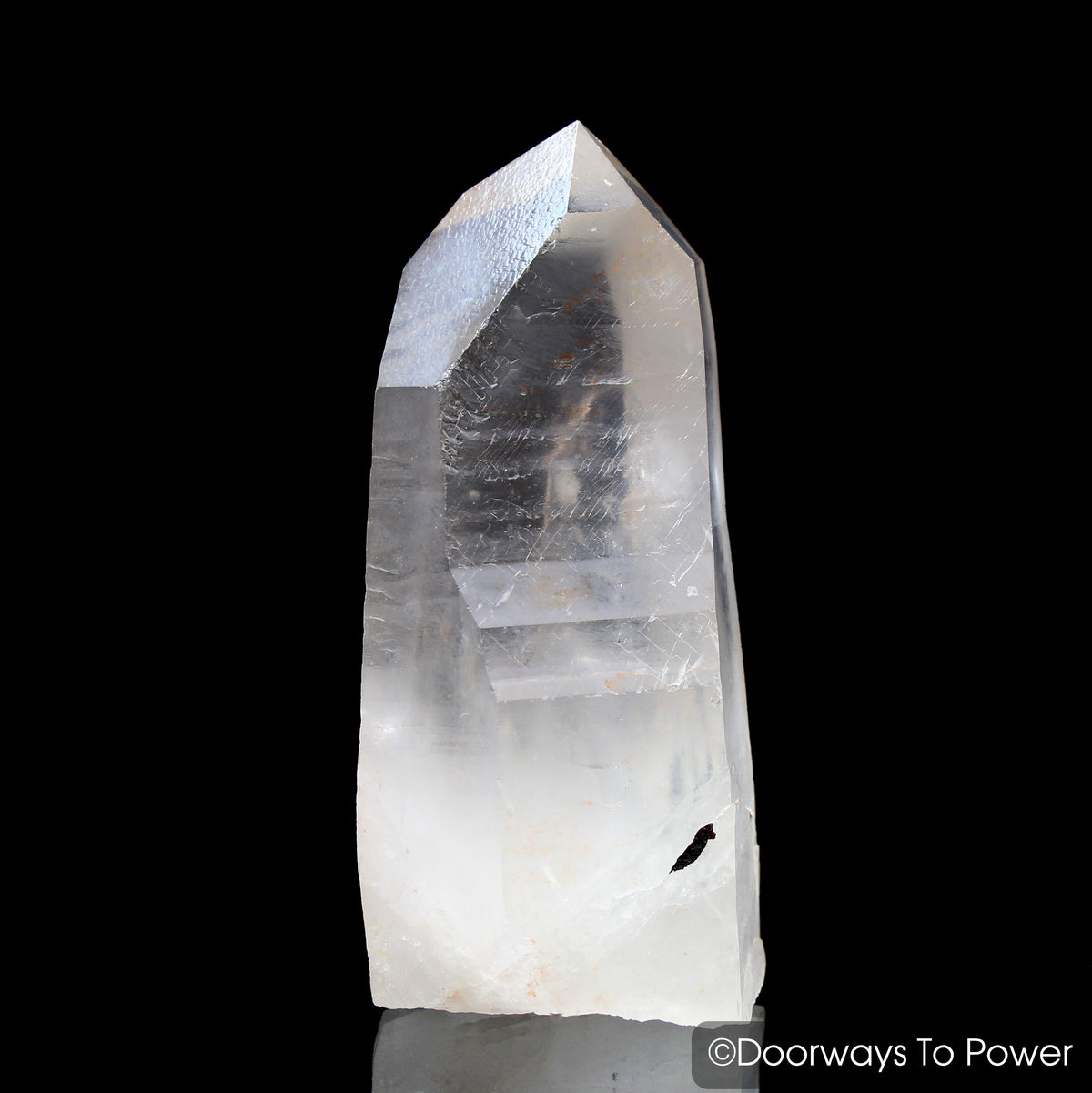 Lemurian Seed Quartz Record Keeper Crystal 