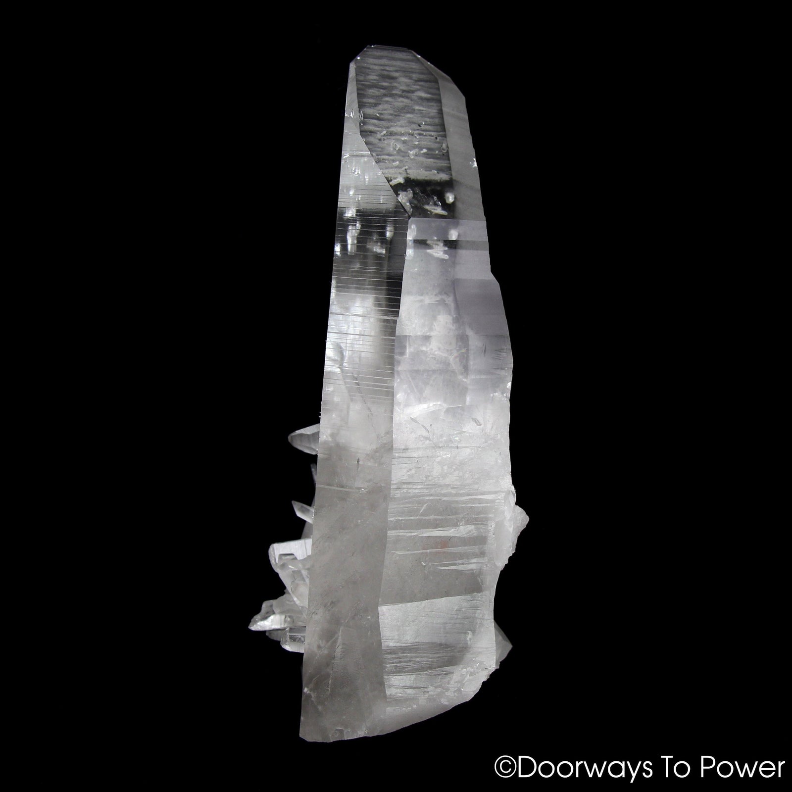 Lemurian Star Seed Quartz Crystal Record Keeper 