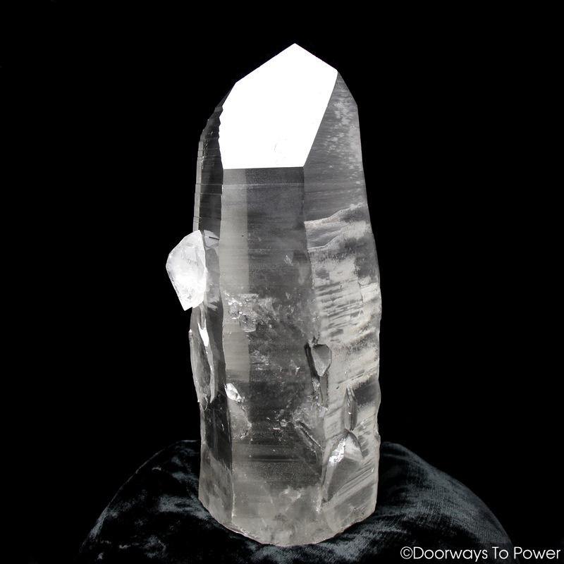 Smoky Black Phantom Lemurian Seed Quartz Inner Child Dolphin Crystal 