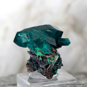 Amazing Dioptase Specimen Double Terminated  A +++  Museum Quality