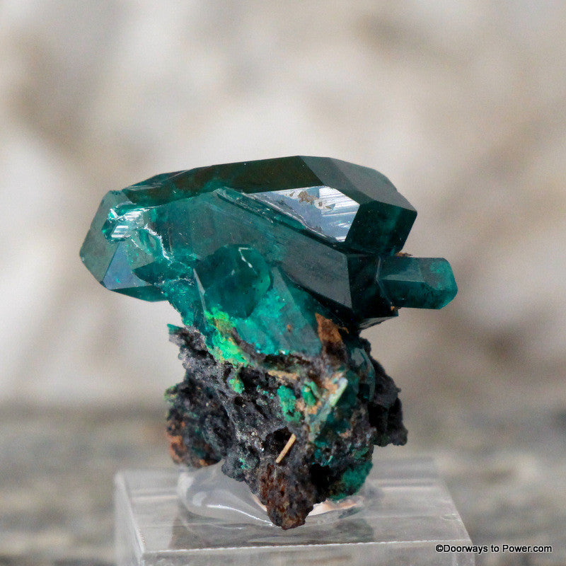 Amazing Dioptase Specimen Double Terminated  A +++  Museum Quality