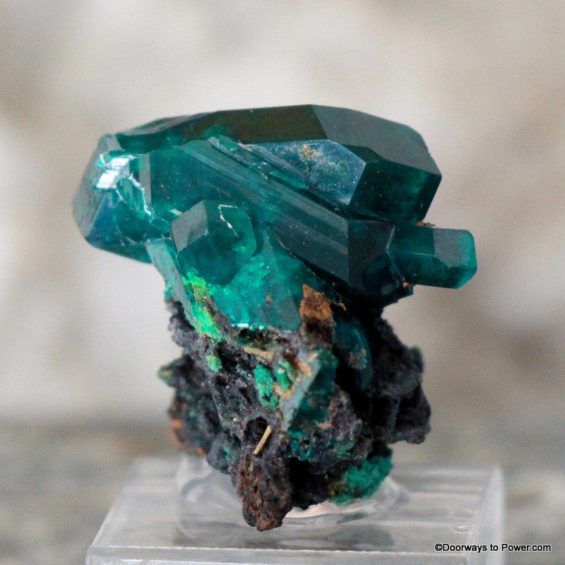 Amazing Dioptase Specimen Double Terminated  A +++  Museum Quality