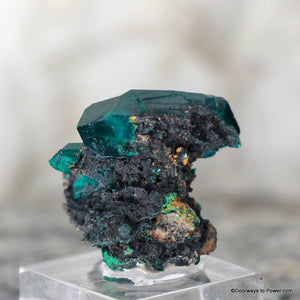 Amazing Dioptase Specimen Double Terminated  A +++  Museum Quality