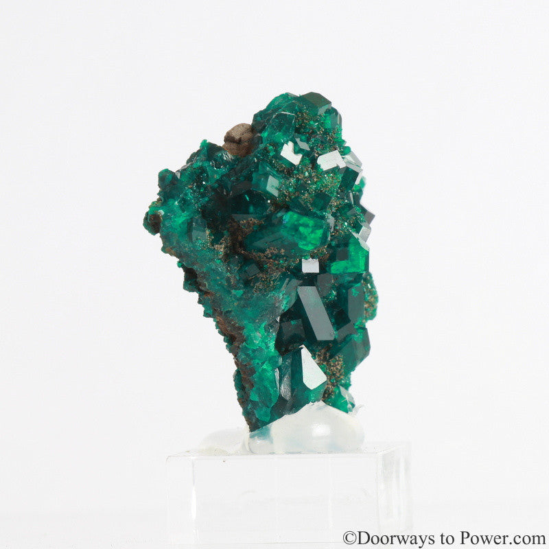 Dioptase Prosperity Crystal Specimen A +++ Museum Quality