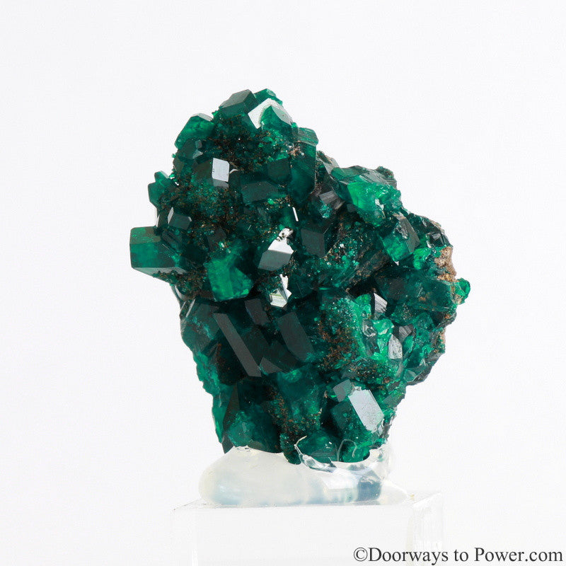 Dioptase Prosperity Crystal Specimen A +++ Museum Quality