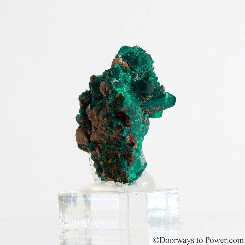 Dioptase Prosperity Crystal Specimen A +++ Museum Quality