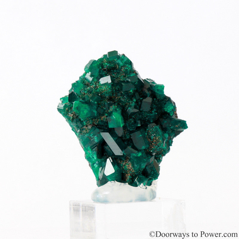 Dioptase Prosperity Crystal Specimen A +++ Museum Quality