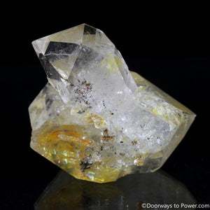 Rare 2.43" Golden Citrine Herkimer Diamond Record Keeper Tantric Twin Crystal