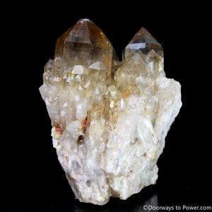 Rare 4" Natural Citrine Lightbrary Record keeper Kundalini Quartz Crystal Cluster