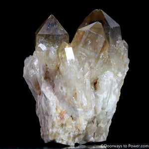 Rare 4" Natural Citrine Lightbrary Record keeper Kundalini Quartz Crystal Cluster