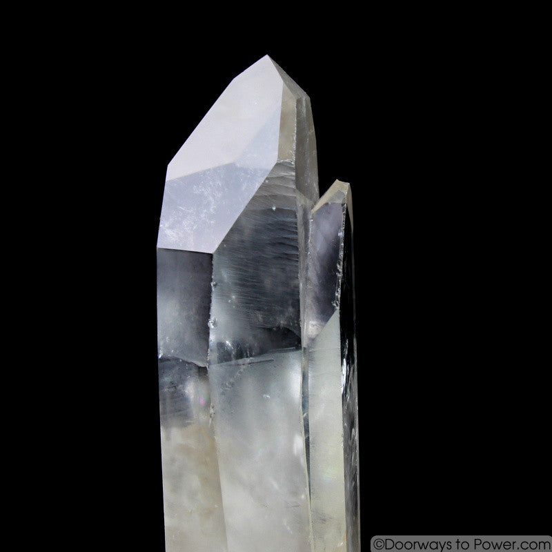 Rare  8"  Lemurian Seed Portal Time Link Manifest Isis Crystal