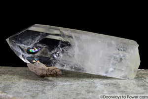 Rare  8"  Lemurian Seed Portal Time Link Manifest Isis Crystal