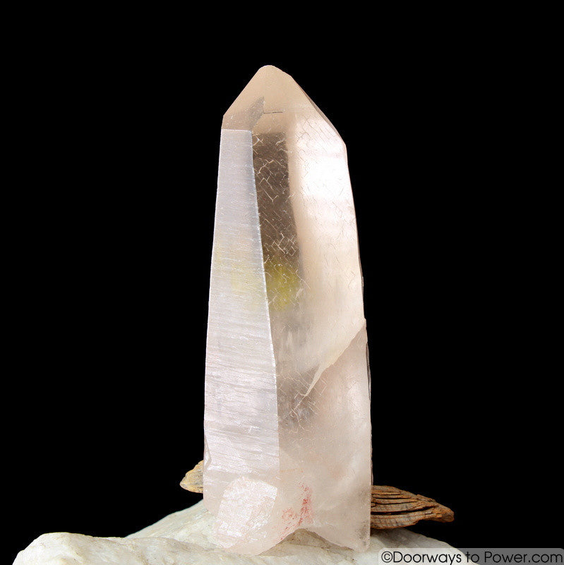 5.2" Pink Star Seed Lemurian Crystal - Extreamly Rare and Unusual