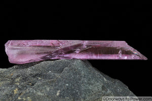 Rose Aura Lemurian Seed Pleiadian Starbrary Crystal