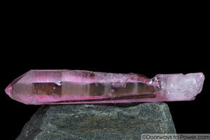 RARE Rose Aura Diamantina Star Seed Quartz Crystal Pleiadian Starbrary Wand