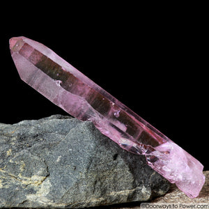 RARE Rose Aura Diamantina Star Seed Quartz Crystal Pleiadian Starbrary Wand
