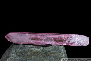 RARE Rose Aura Diamantina Star Seed Quartz Crystal Pleiadian Starbrary Wand