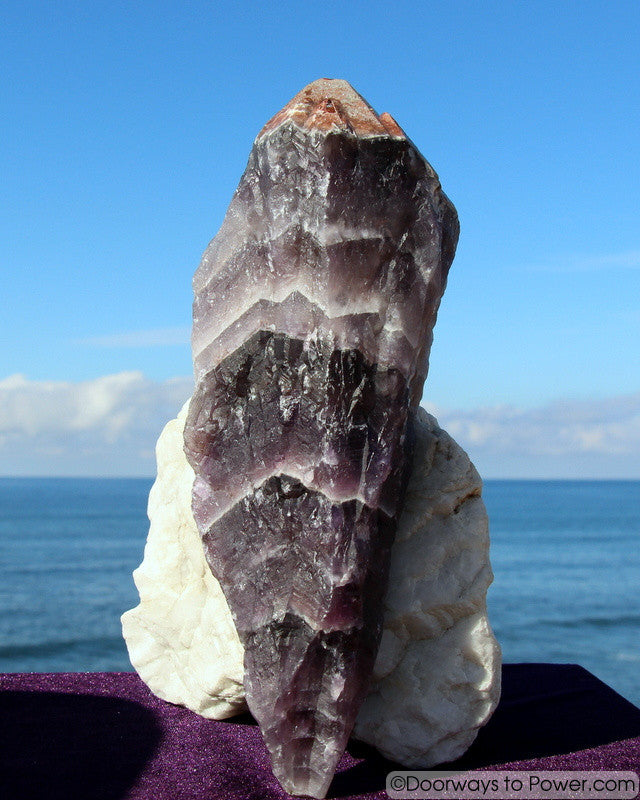 Big 10" Auralite 23 Crystal Wand Azozeo Activated w/ Red Tip  2.5 lbs