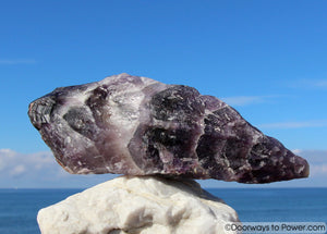 Big 10" Auralite 23 Crystal Wand Azozeo Activated w/ Red Tip  2.5 lbs
