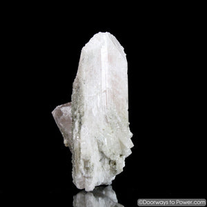 4.5" Danburite Pleiadian Starbrary  Druzy Manifester Crystal Synergy 12 Stone