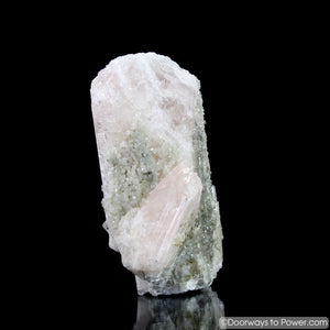 4.5" Danburite Pleiadian Starbrary  Druzy Manifester Crystal Synergy 12 Stone