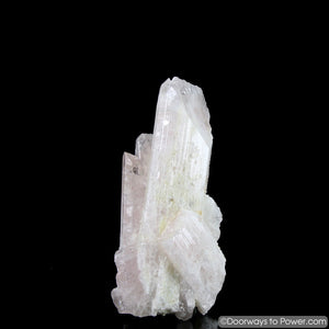 Rare 4.3" Danburite Synergy 12 Crystal with Pleiadian Starbrary & Twin