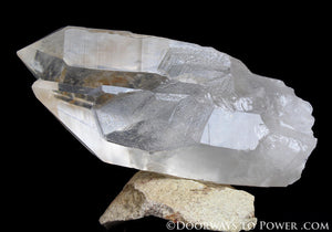 Lemurian Seed Pleiadian Starbrary Quartz Crystal A +++ Museum Quality