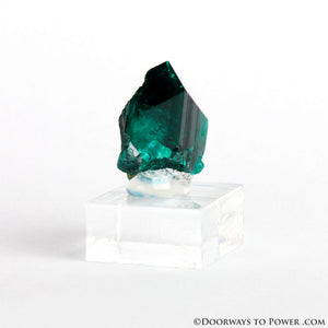 Dioptase Prosperity Crystal Specimen A +++ Museum Quality - NAMBIA