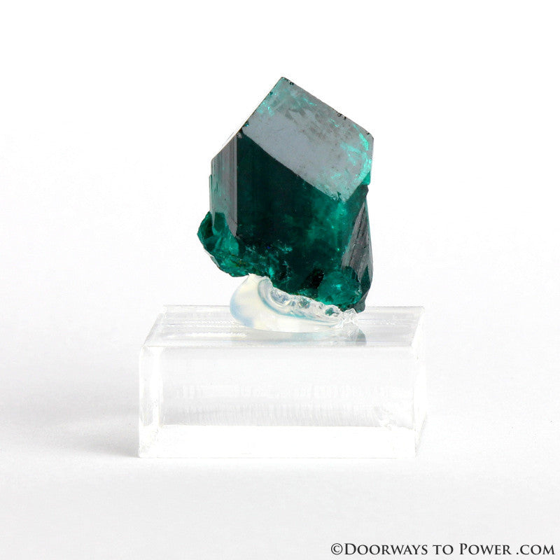Dioptase Prosperity Crystal Specimen A +++ Museum Quality - NAMBIA