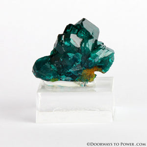 Dioptase Mineral Specimen A +++ Collectors Quality