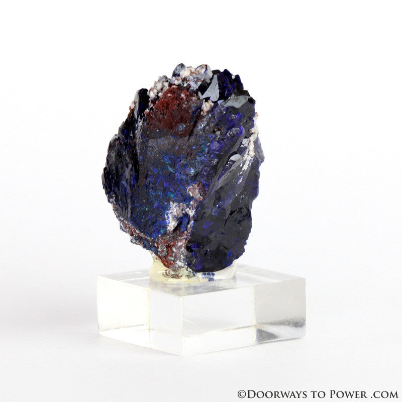 Royal Blue Azurite Mineral Specimen Rosette Congo A +++ Quality