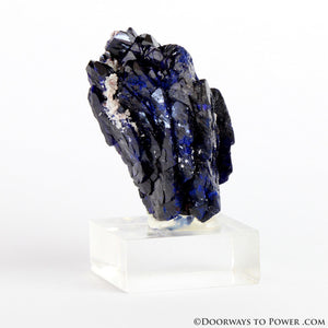 Royal Blue Azurite Mineral Specimen Rosette Congo A +++ Quality