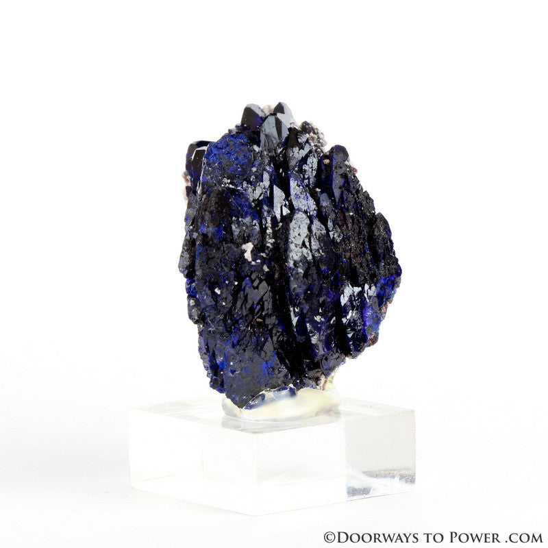 Royal Blue Azurite Mineral Specimen Rosette Congo A +++ Quality