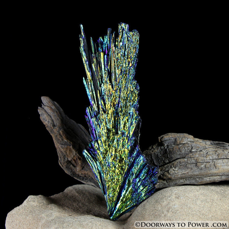 Aqua Aura Black Kyanite Angel Wing Crystal BKA-5